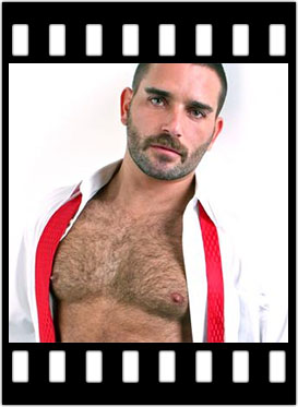 furry muscle bears